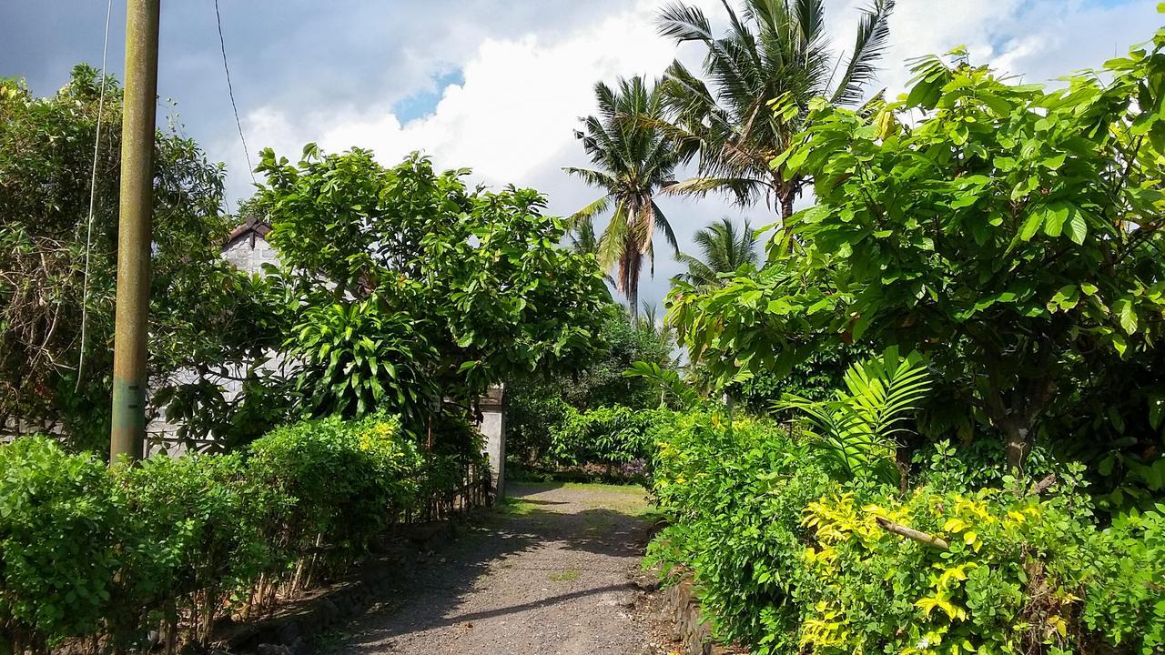 Natural Lodge 2 Selemadeg (Bali) Exterior foto