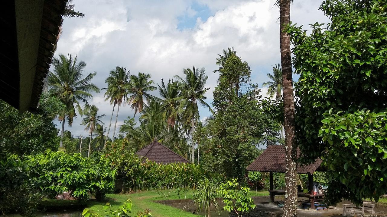 Natural Lodge 2 Selemadeg (Bali) Exterior foto