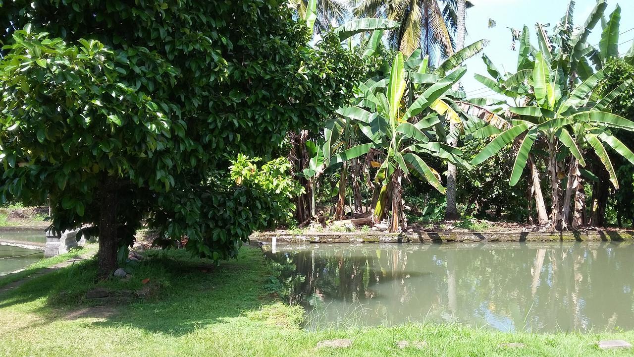 Natural Lodge 2 Selemadeg (Bali) Exterior foto